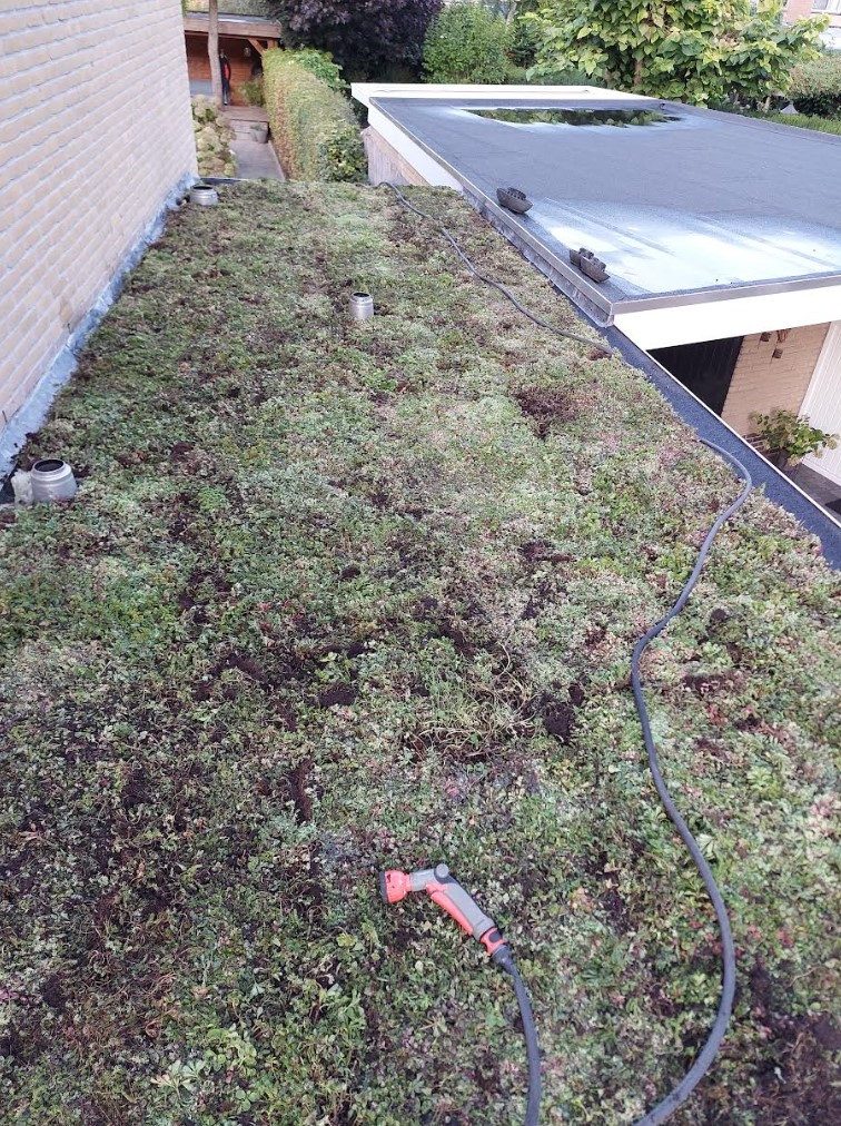 Aanleg van een sedum-/groendak op een aanbouw