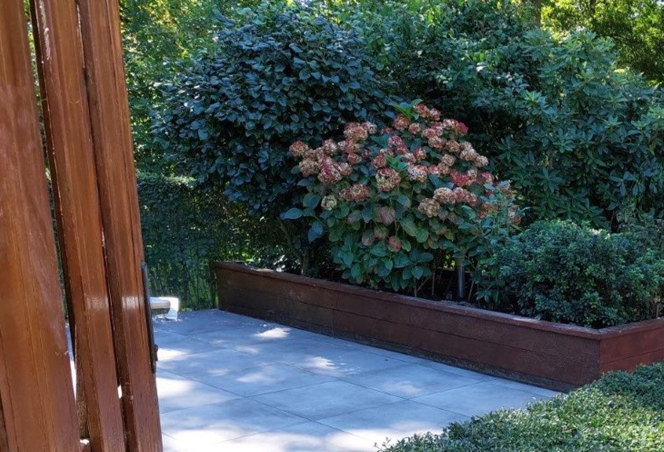Border met hortensia in cortenstalen plantenbak langs een terras